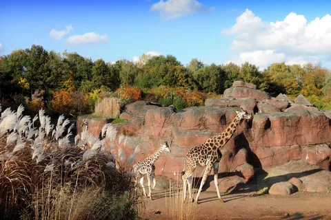 GaiaZOO toegangsbewijs