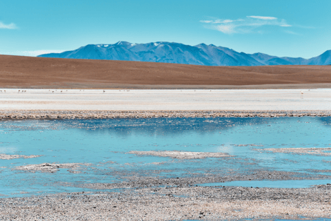 Von La Paz aus: 5-tägige Tour durch die Salinen von Uyuni mit Bustransfers