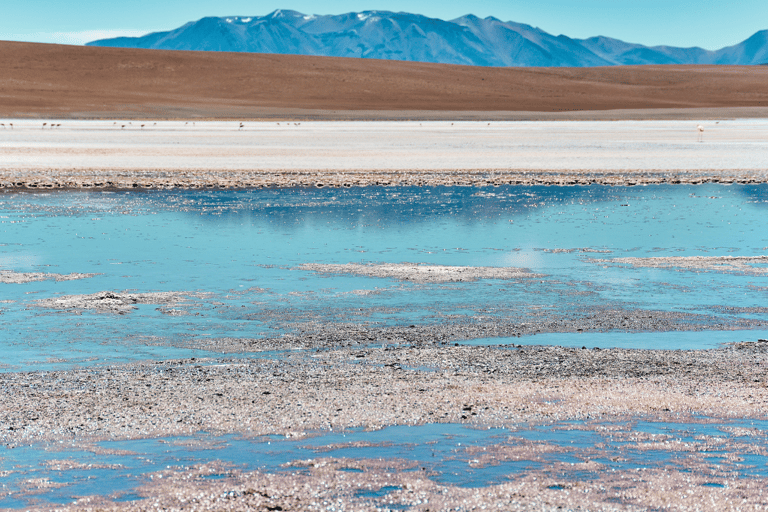 Von La Paz aus: 5-tägige Tour durch die Salinen von Uyuni mit Bustransfers