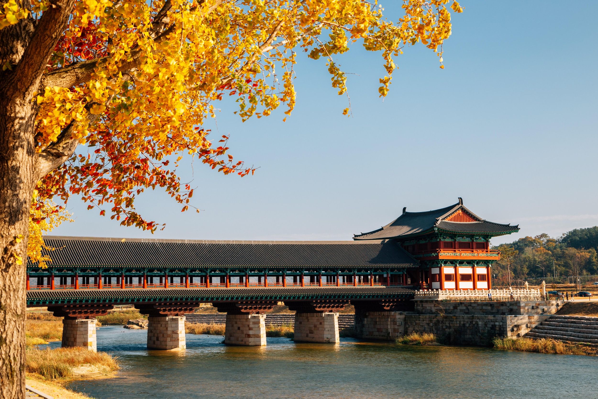 Busan: Gyeongju-Herbstlaub-Tagestour mit historischen Stätten