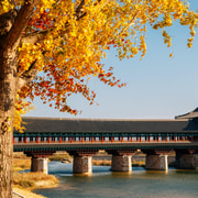 Busan: Gyeongju Autumn Foliage Day Tour with Historic Sites