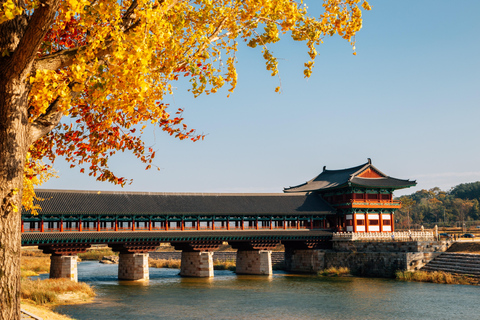 Busan: Gyeongju Autumn Foliage Day Tour with Historic Sites Shared Tour, Meet at Seomyeon Station