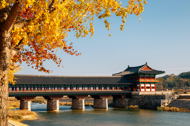 Busan: Gyeongju Autumn Foliage Day Tour with Historic Sites Shared Tour, Meet at Haeundae Station