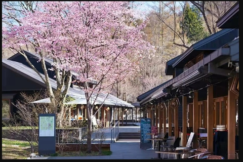 Excursão de um dia ao Santuário Hyland de Karuiizawa Koedo KawagoeSaída oeste de Shinjuku