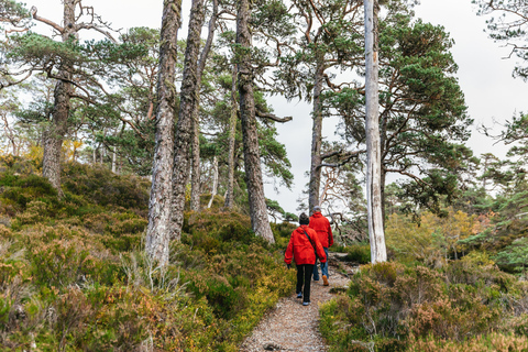 From Inverness: Glen Affric, Culloden, and Clava Cairns Tour