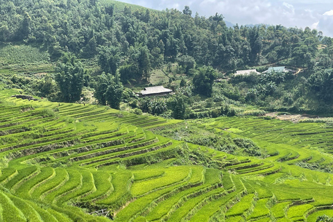 Red Dao Village Trek and Herbal Bath