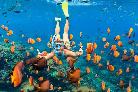 Combinaison d'une journée de plongée en apnée et de visite de l'île de Nusa Penida