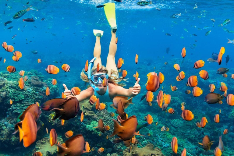 Combinatie van snorkelen en eilandtour op Nusa Penida