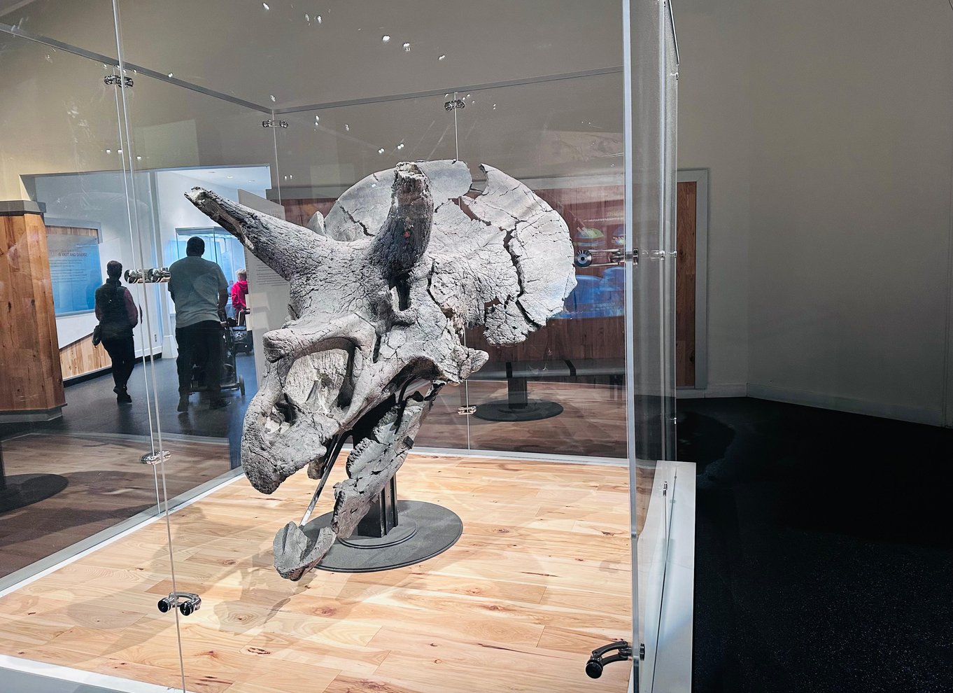 Badlands-tur: Drumheller med museum, hoodoos og dinosaurer