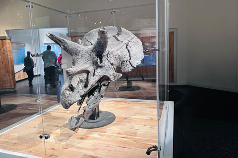 Badlands Tour: Drumheller with Museum, Hoodoos & Dinosaurs Booking Option for Summer 2026