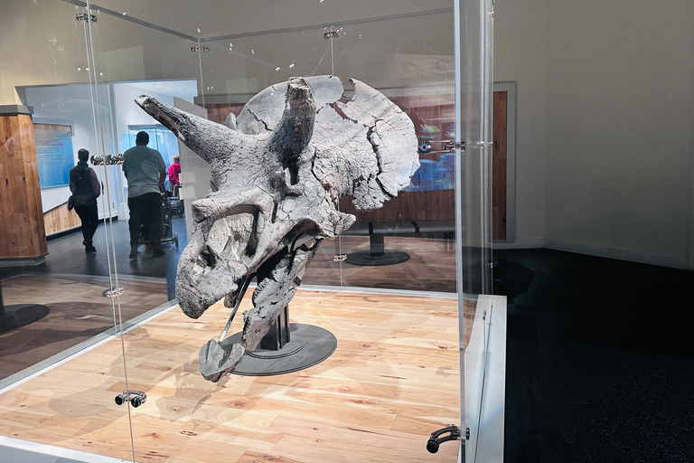 Badlands Tour: Drumheller with Museum, Hoodoos & Dinosaurs Booking Option for Summer 2026
