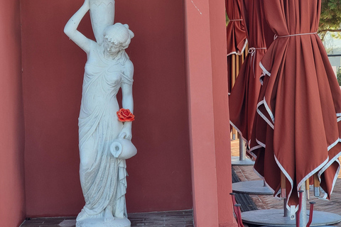 From Nice: Tour of the Most Beautiful Places