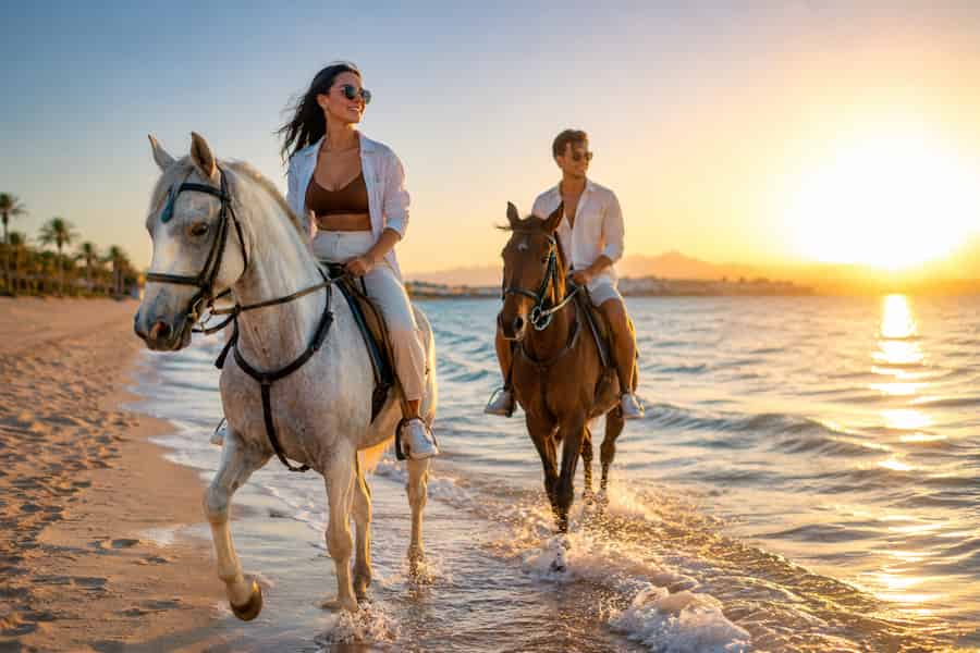 Rotes Meer: Ausritt am Strand und Wüstentour mit Transfer. Foto: GetYourGuide