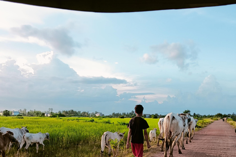 Countryside: Pepper Farm, Lake, Salt field Reflection Sunset
