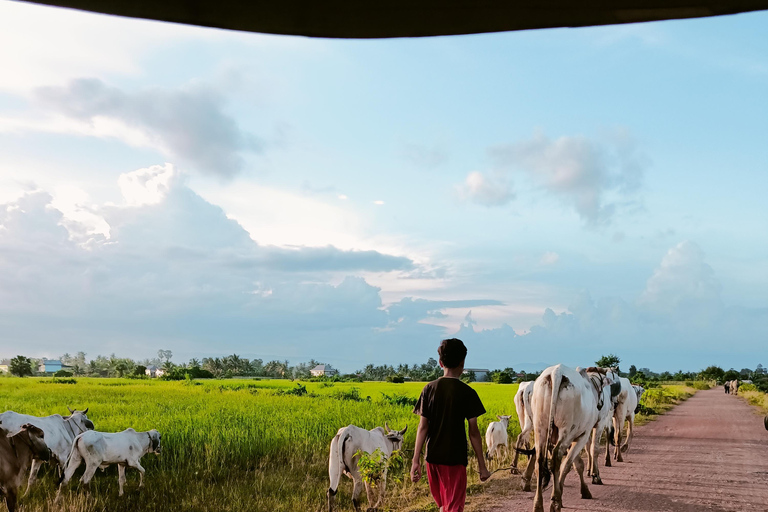 Countryside: Pepper Farm, Lake, Salt field Reflection Sunset