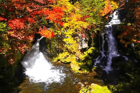 From Tokyo: Private Nikko World Heritage Sights One Day Trip