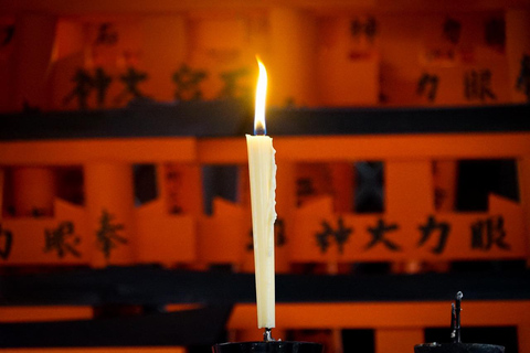 京都与奈良：一日游亮点之旅，专属私人轿车服务京都与奈良：一日游精华行程，专属私人轿车服务