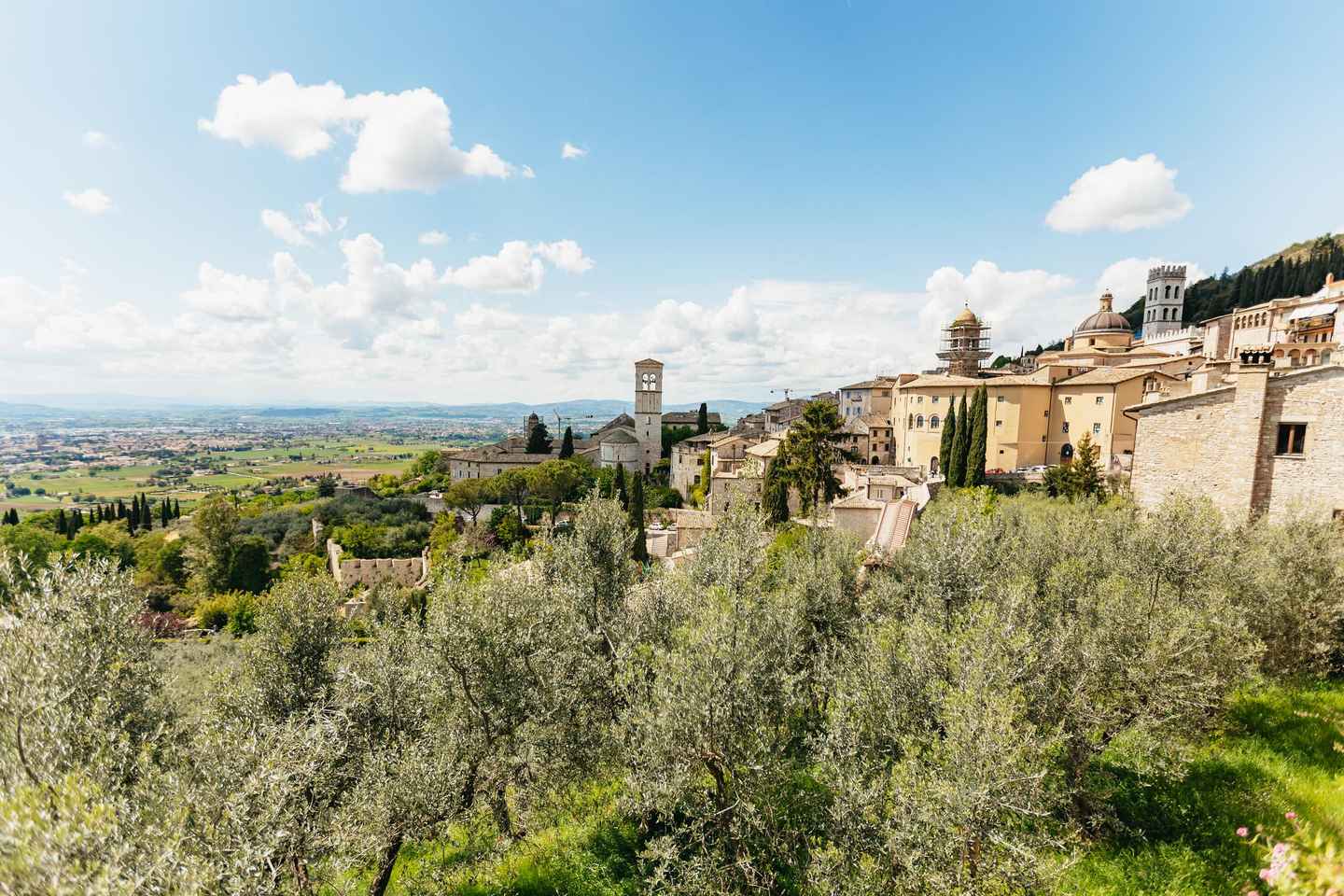 From Florence: Orvieto and Assisi Tour with Church Visits