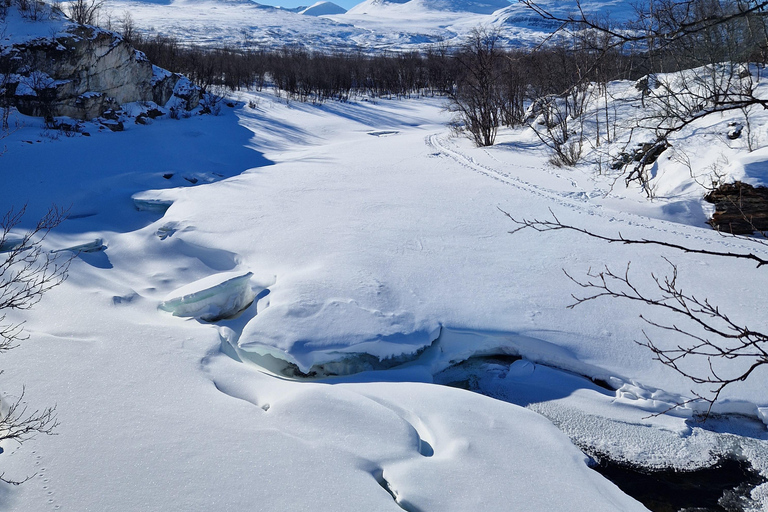 Kiruna: Escursione con le racchette da neve nel Parco Nazionale di Abisko con pranzo