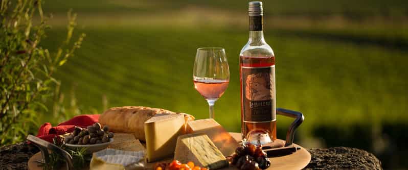 Long Island Winery Tour