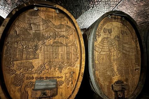 Stuttgart: From the Cellar to the Vine – Experience Wine Up Close Stuttgart: From the cellar to the vine – experience wine up close