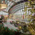 Londra: accesso anticipato allo Sky Garden con pasticcini e bevanda calda