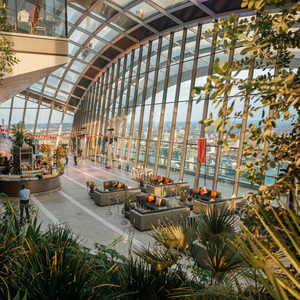 London: Sky Garden: Früheinlass-Ticket & Frühstück