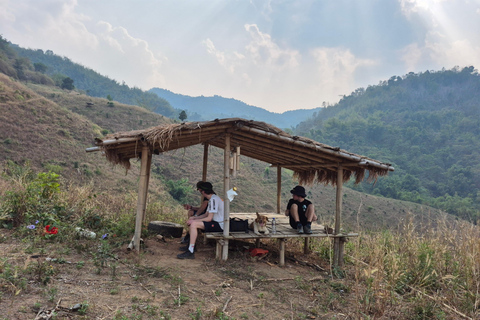 Chiang Rai: 2-Day Jungle Trek only walk with Waterfall