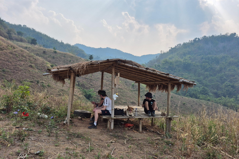 Chiang Rai: 2-Day Jungle Trek only walk with Waterfall