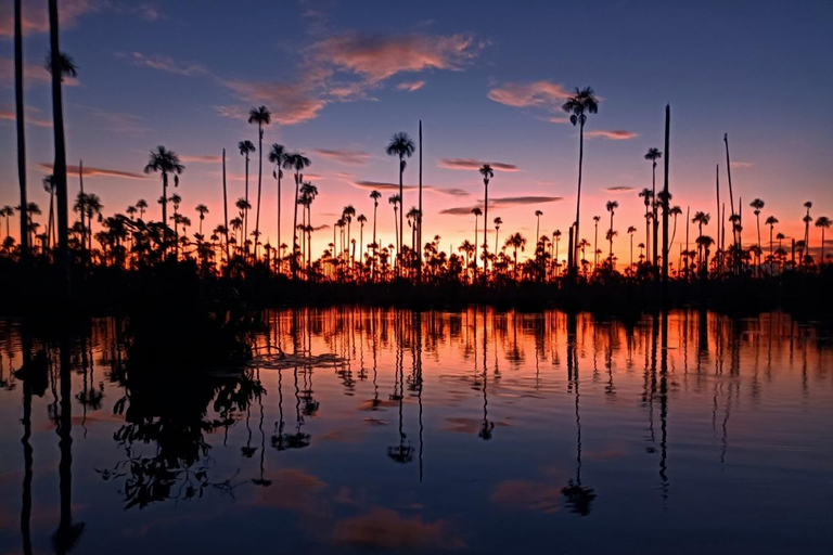 Puerto Maldonado: Excursión al lago Yacumama y puesta de sol