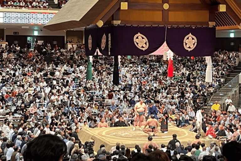 Nagoya: Grand Sumo Tournament & Nagoya Castle Tour w/ Guide