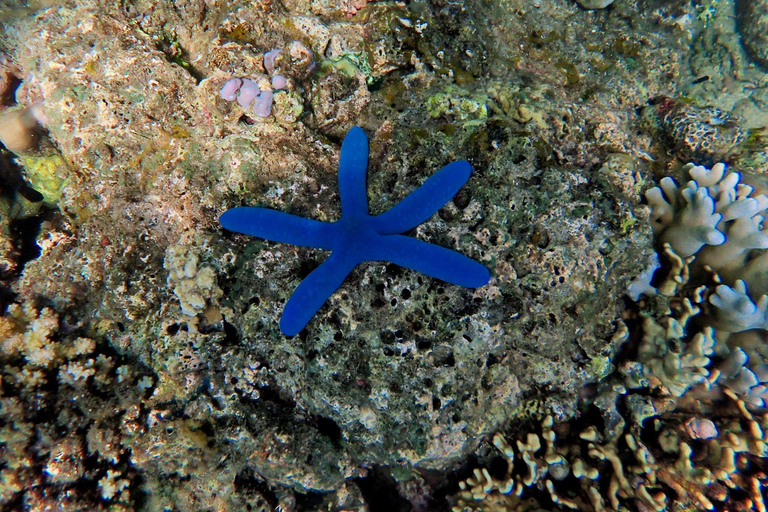 Bali/Lovina: Private Fishing Tour with Snorkeling Option Private Fishing Tour (With Transfer - South Bali Areas)
