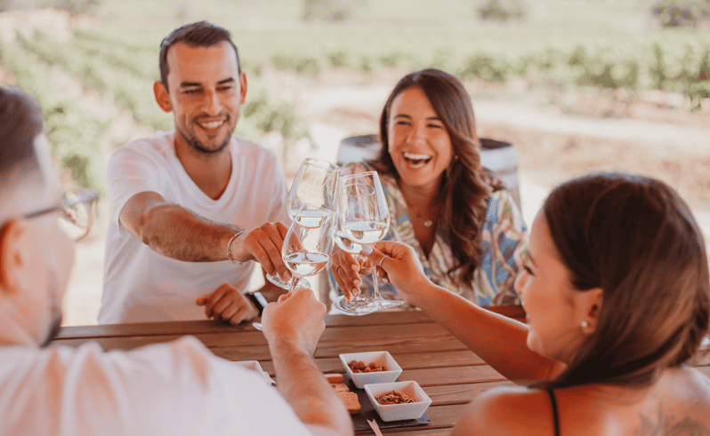 Van Albufeira: wijntour van een halve dag, tapas en Silves-tour