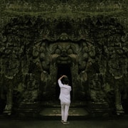 Ubud: Rice Terrace, Elephant Cave & Coffee Plantation Tour Ubud: Rice Terrace, Elephant Cave & Coffee Plantation Tour