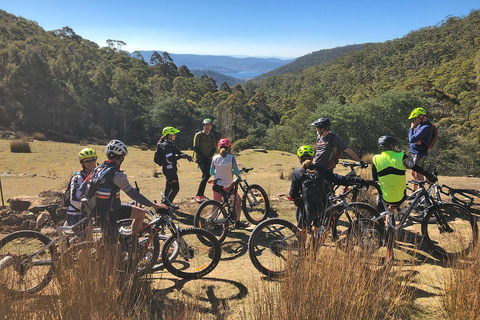 Da Hobart: Tour in bicicletta della cima del monte Wellington e della foresta pluviale