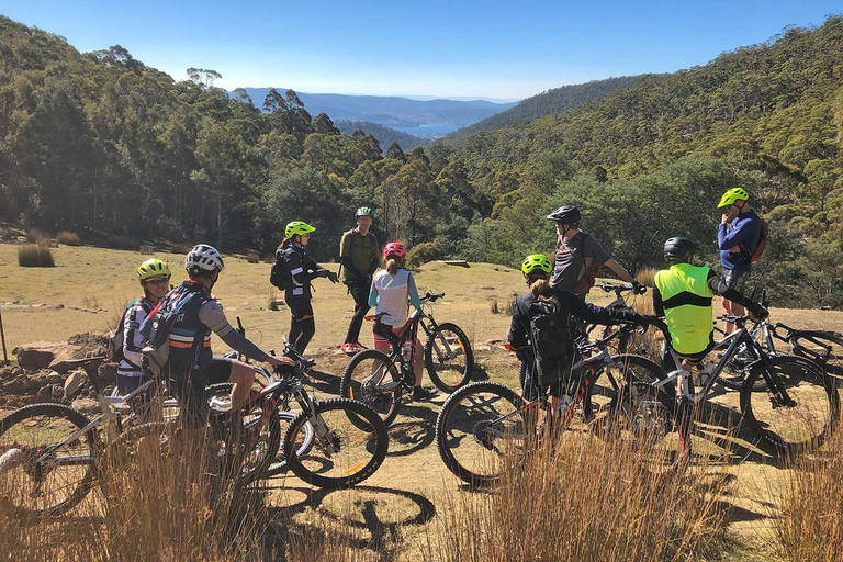 Depuis Hobart : Sommet du Mont Wellington et excursion à vélo dans la forêt tropicale