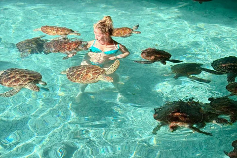 Jozani Forest & Turquoise Waters Turtle Swim at Salaam Cave TOUR WITHOUT HOTEL PICKUP AND DROP OFF