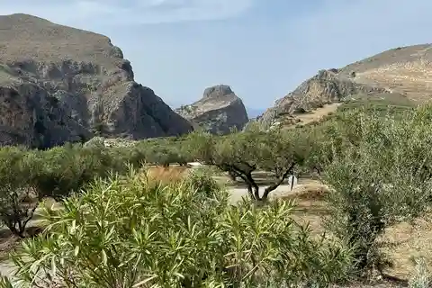 From Chania: Wine, Honey & Olive Oil Private Tour