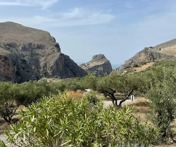 From Chania: Wine, Honey & Olive Oil Private Tour