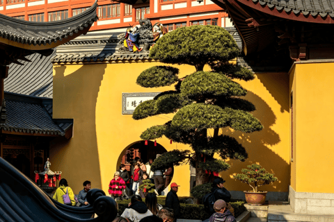 One Day in Shanghai: Jade Buddha Temple · M50 · Zhujiajiao