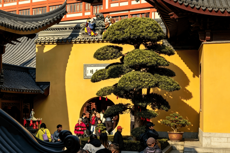 One Day in Shanghai: Jade Buddha Temple · M50 · Zhujiajiao