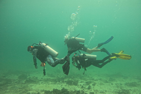 Muscat : Les îles Daymaniat s&#039;essaient à la plongée sous-marine