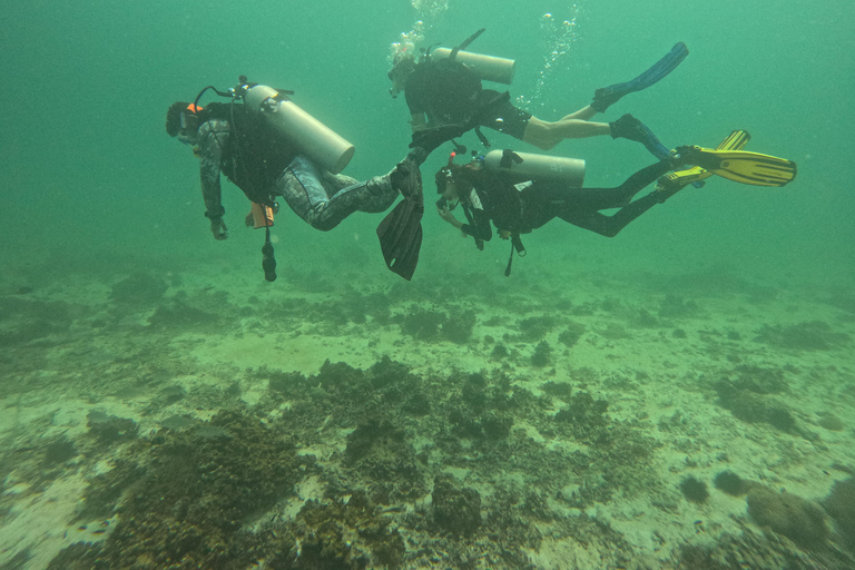 Muscat : Les îles Daymaniat s&#039;essaient à la plongée sous-marine