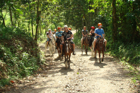 COSTA RICA:UPPTÄCK COSTARICAS VILDA DJUR-STRAND &amp; SKOG 2VECKOR