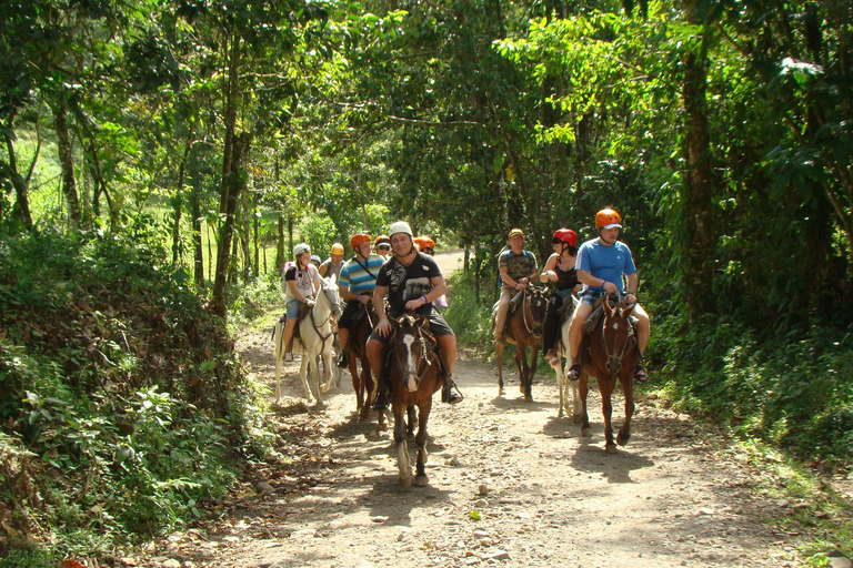 COSTA RICA:UPPTÄCK COSTARICAS VILDA DJUR-STRAND &amp; SKOG 2VECKOR