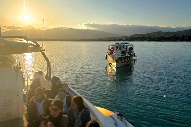 Porto-Vecchio : Rondvaart bij zonsondergang &amp; aperitief