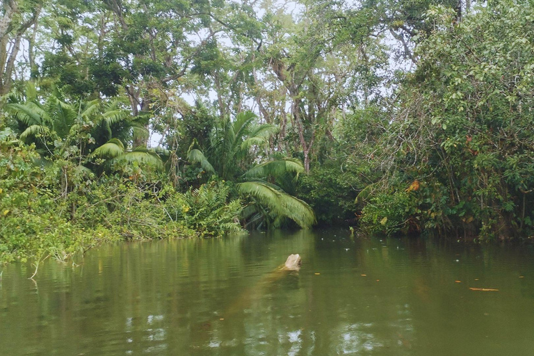 Private Kayaking Adventure: a 2-hour Wildlife Escape Self-Guided Kayaking Adventure: a 2-hour Wildlife Escape