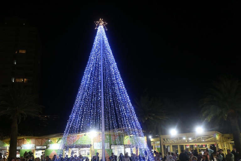 Punta del Este: Secret Night Tour Secret Night Tour