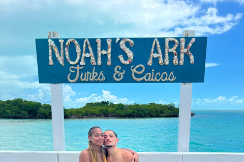 Providenciales: Jet Ski tour to ship wreck and Noahs Arkprivate tour in spanish