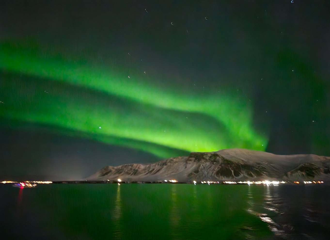 Reykjavík: Krydstogt med nordlys